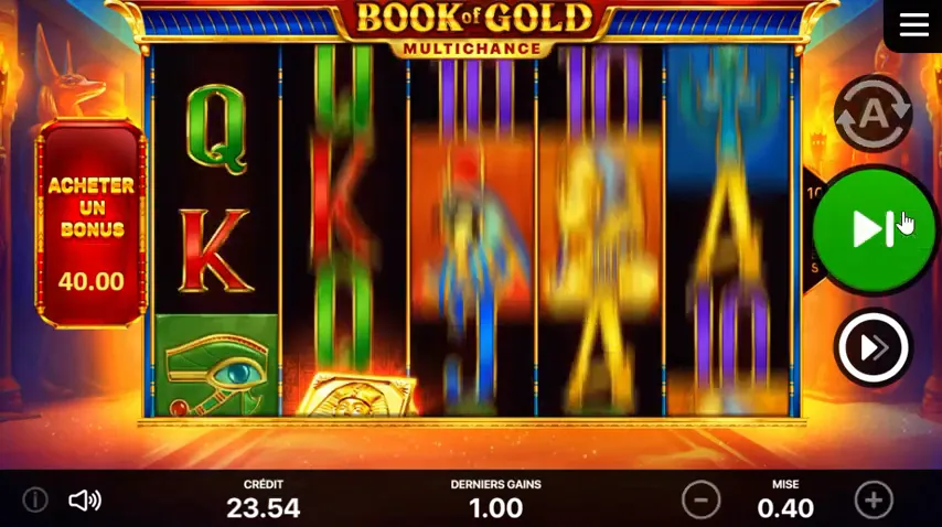 Book of Gold: Multichance en juego — captura 1