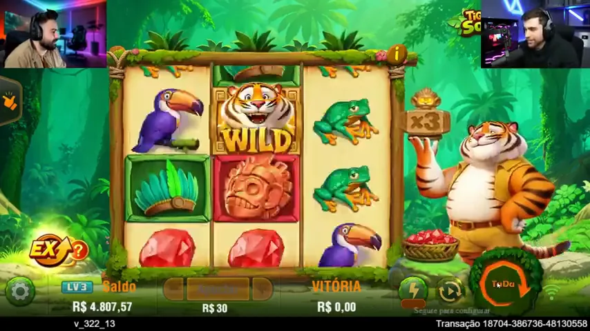 Luck of Tiger — partida en directo