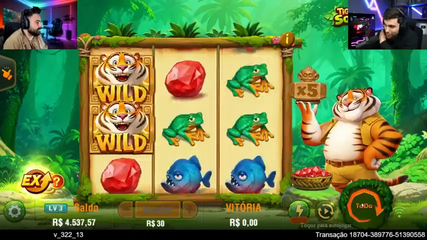 Luck of Tiger — partida en directo